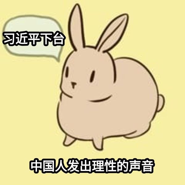 😎 匿名投稿