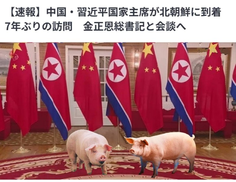 应北朝鲜劳动党主席金正恩邀请，西朝鲜国家主席习近平已于6月8日抵达平壤进行国事访问
