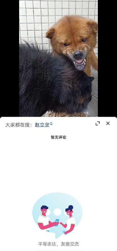 大家都在搜