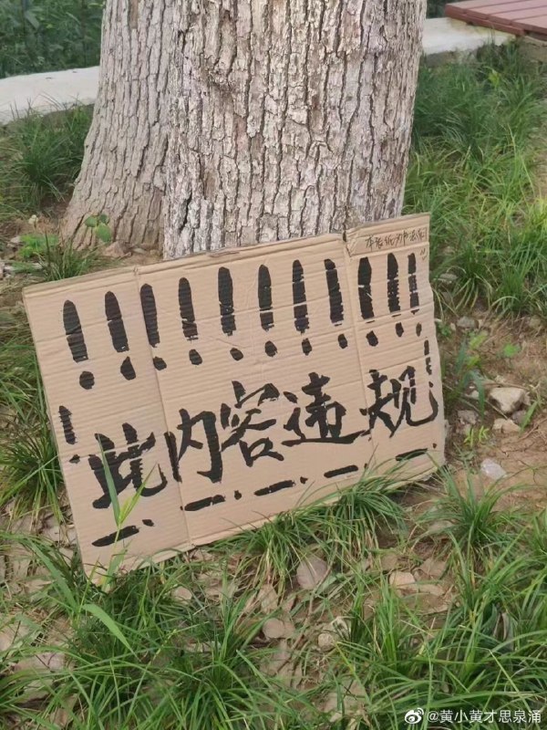 消息来源
