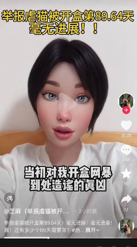 在浦东国际机场的边检