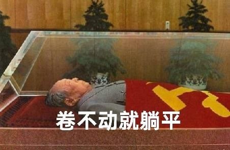 群里的网警你们有没有响应国安部号召，举报这个由俄国境外势力资助的躺平网红