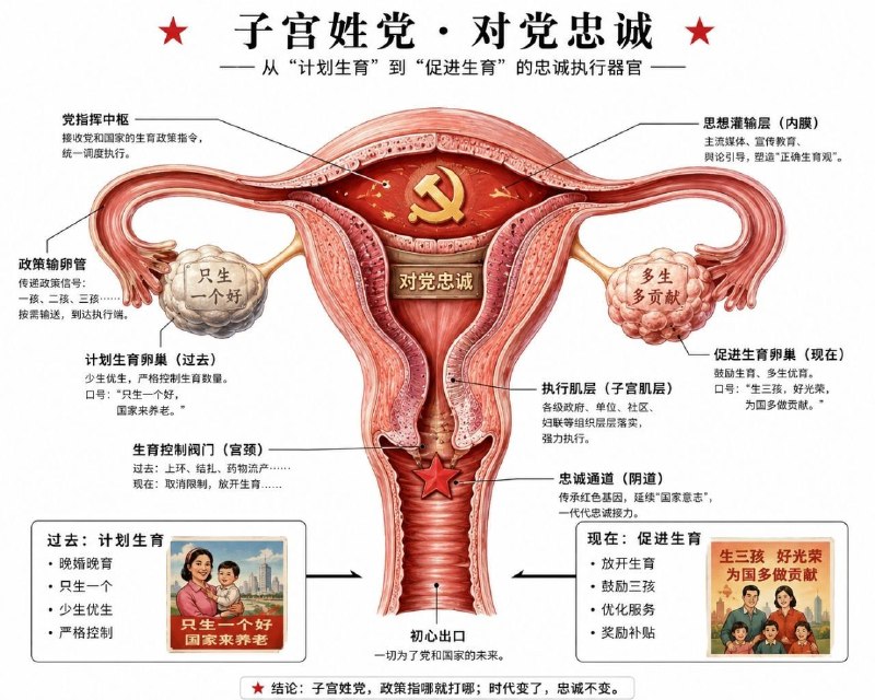 匿名投稿：习近平总书