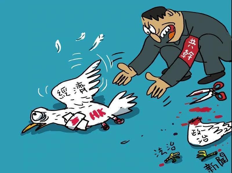 包哥最新指示