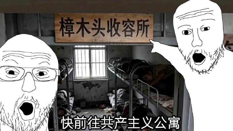 共产党租房新规定be like👤 来自