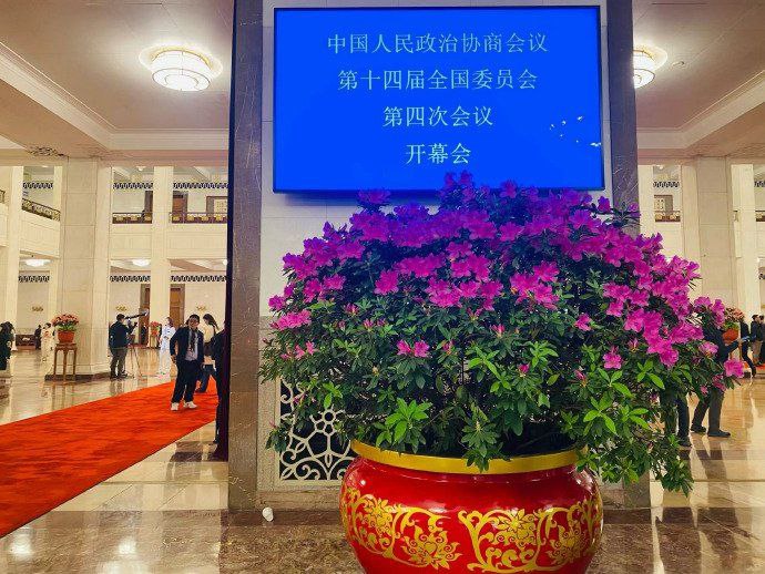 感谢习近平总书记亲自邀请参加政协会议🐸！感谢习近平总书记亲自邀请参加政协会议🐸！