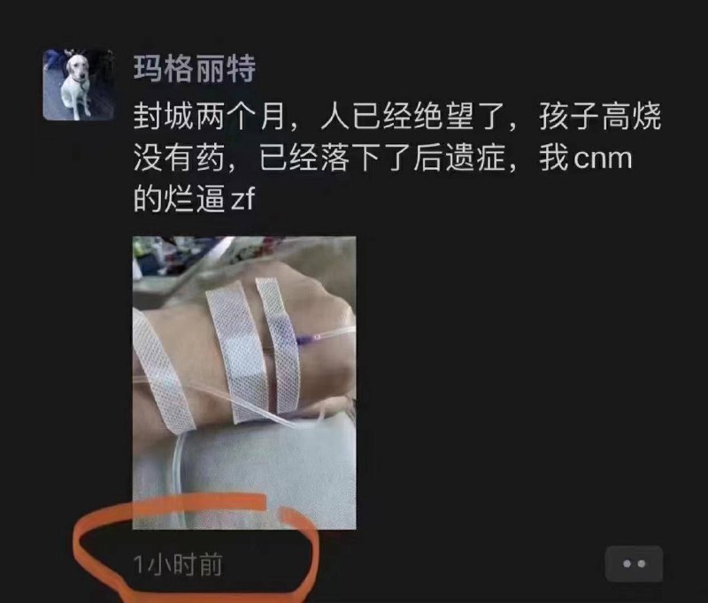 #墙国铁拳现世报 #大绝育运动#墙国铁拳现世报 #大绝育运动