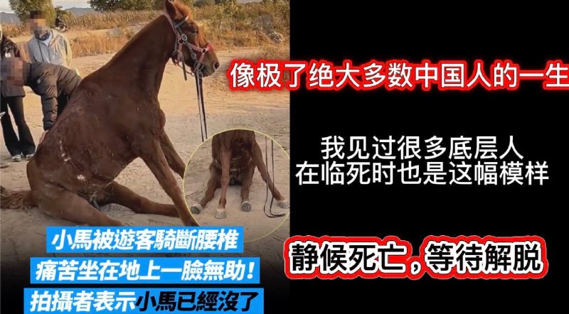 😎 匿名投稿
