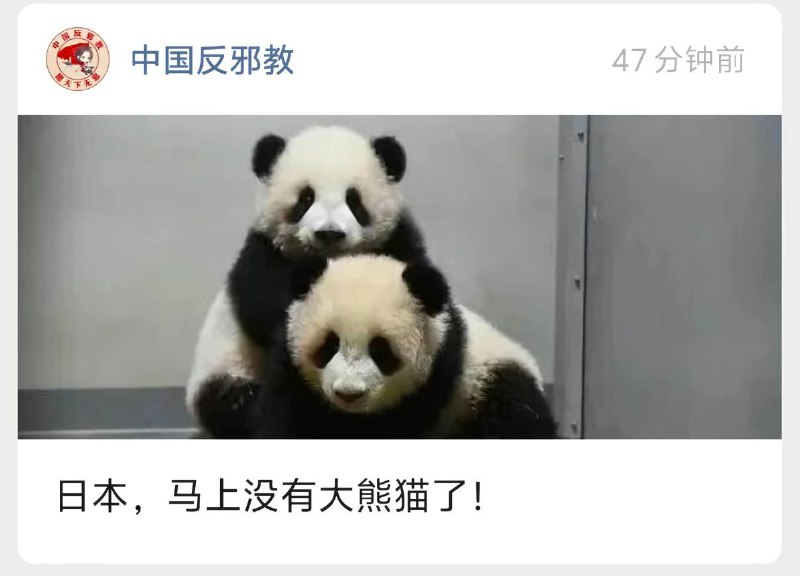犯我中华者 不给熊猫