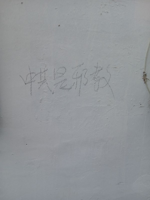 小区发现的#厕所革命By