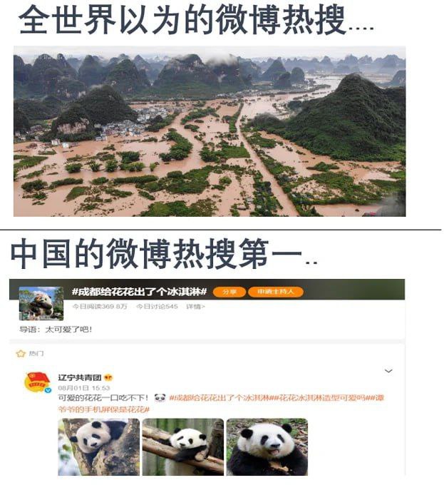 投稿By