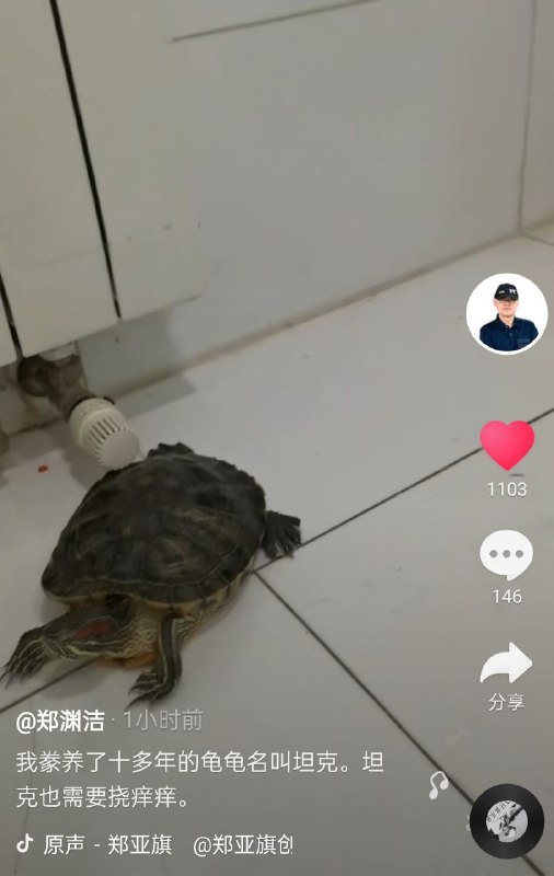 什么坦克By