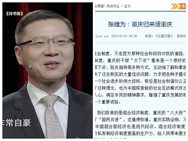 沈逸、张维为
