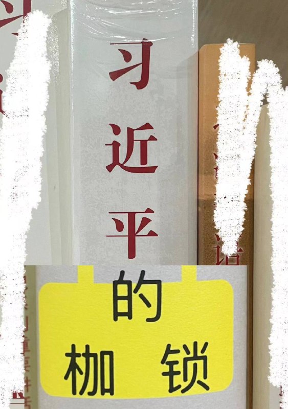 投稿By