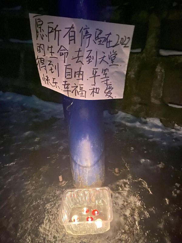 投稿By