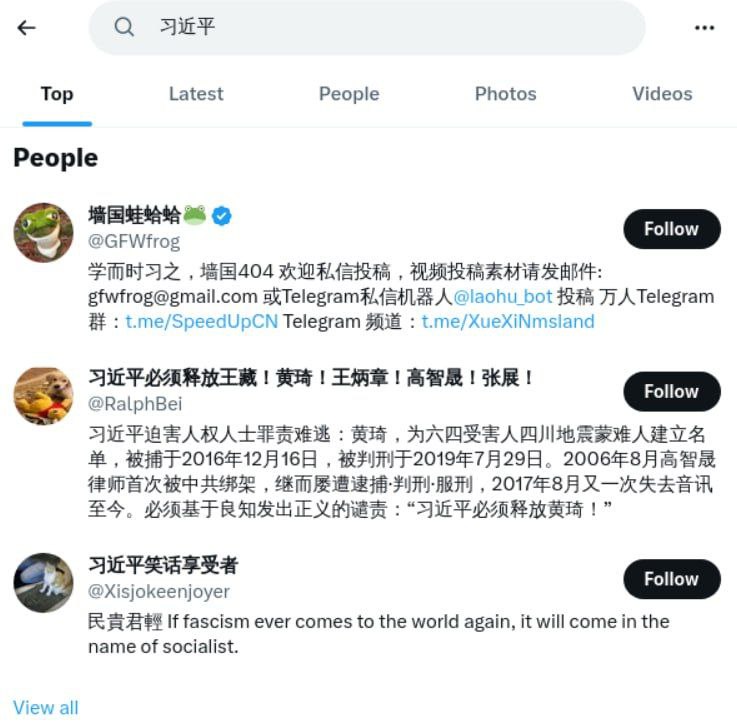据说现在在Twitter 搜索“习近平”，第一个出来的结果是我的账号🐸？！这下头号包蜜认证了捏🥰