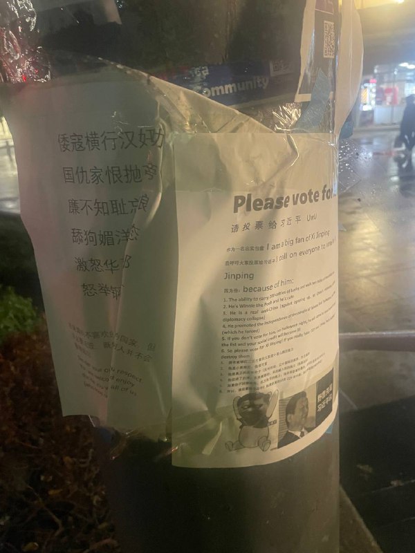 虚假的爱国