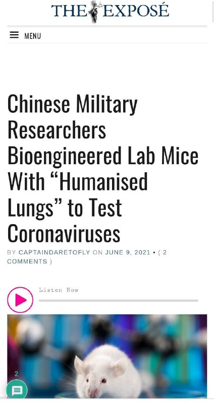 牆內熱傳的爆料美國製造COVID-19的網站也有這種東西😅翻譯