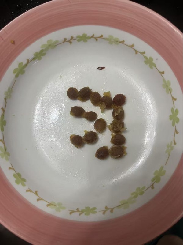看懂的有福了😏😎