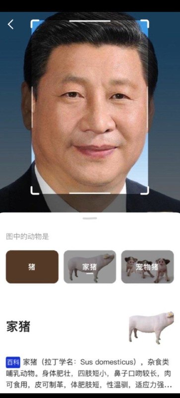 简单识别一下👤 来自