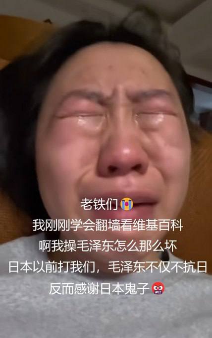 维基百科多看