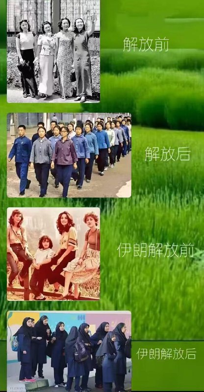 😎 匿名投稿玩过游戏王的都知道，以前叫祭品，后来觉得不好听，改名叫解放了