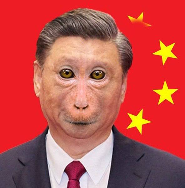 最新包包自拍，太哈人了By