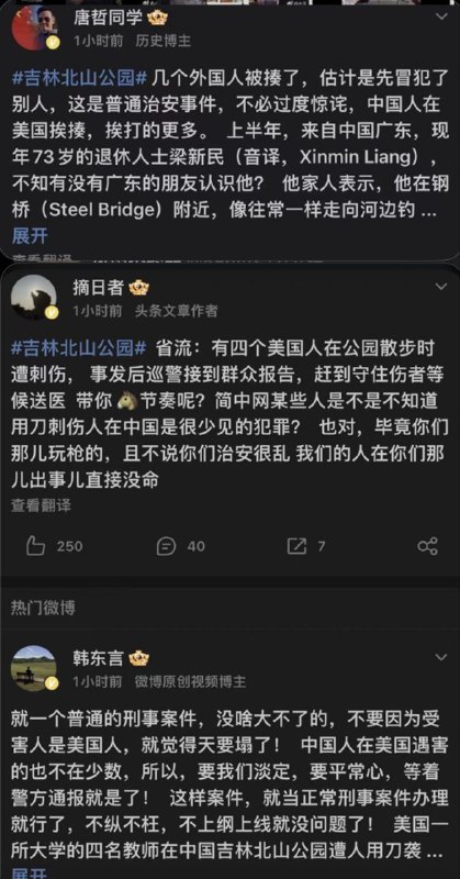 6月11日，胡刁盘就吉林北山公园美国教师遇袭案发表看法，希望这只是一个偶然事件