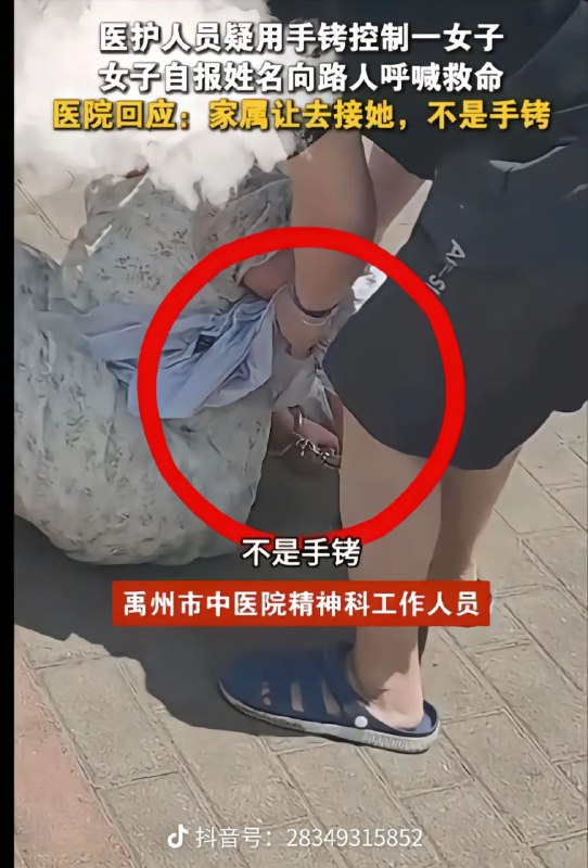 评论区的器官😱🕶 匿名投稿评论区的器官😱🕶 匿名投稿