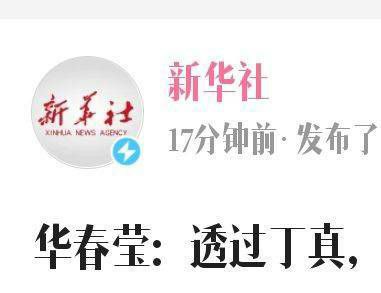 华春莹点丁真