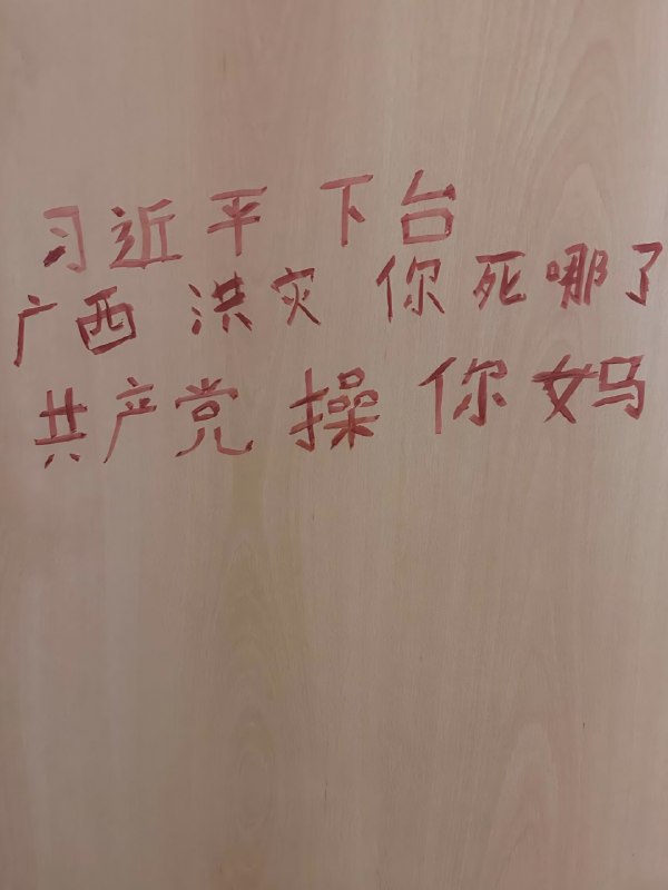 #大涂鸦运动#厕所革命广西某地厕所