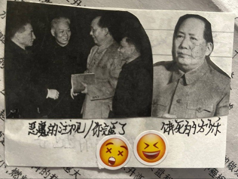 毛头秃🤣😎 匿名投稿