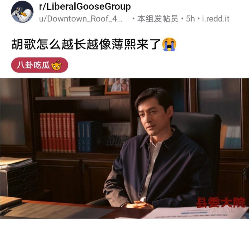 胡歌怎么越来越像薄熙来了😭😭投稿By