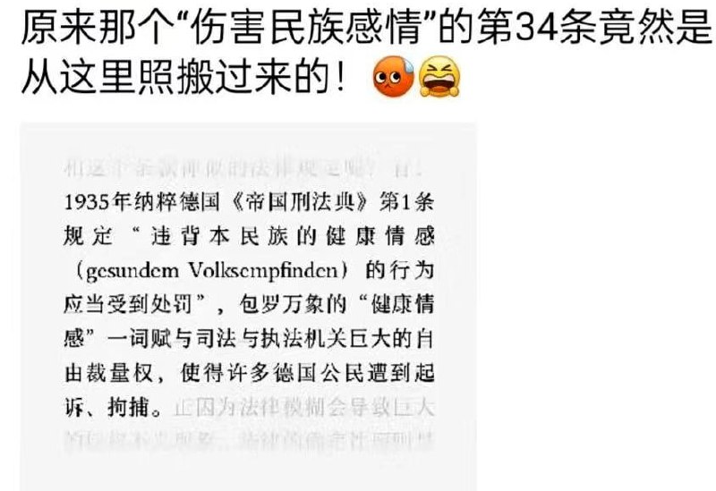 有网友指出新《治安管理处罚法》中“伤害民族感情”的法律渊源是1935年纳粹德国刑法典修正案第1条，该条修改了刑法典第2条（罪刑法定原则）