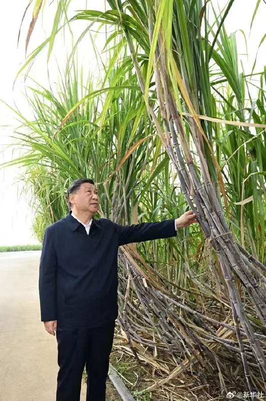 供人瞻仰投稿By